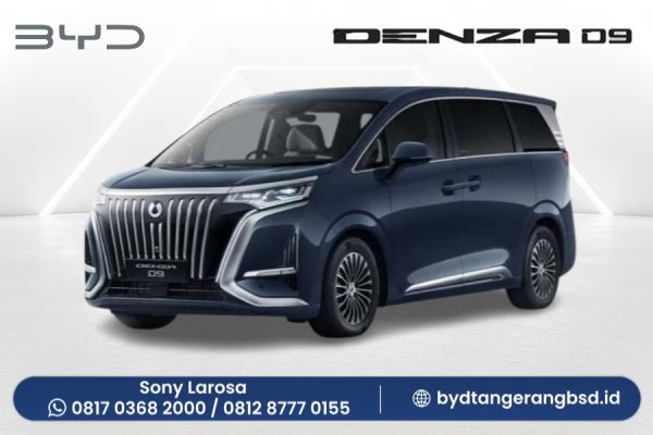 BYD DENZA D9