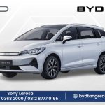 BYD M6
