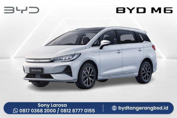 BYD M6