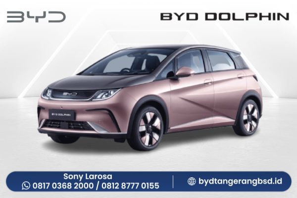 BYD DOLPHIN